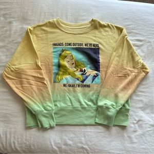 Disney Yellow-Orange-Green Ombré Sleeping Beauty Friends Sweatshirt Size 2X